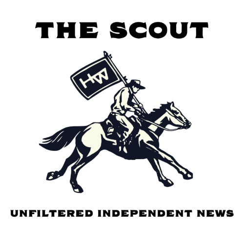 SUBSCRIBE TO OUR NEWSLETTER